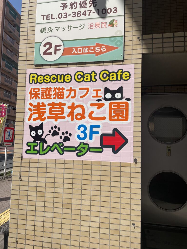 浅草ねこ園