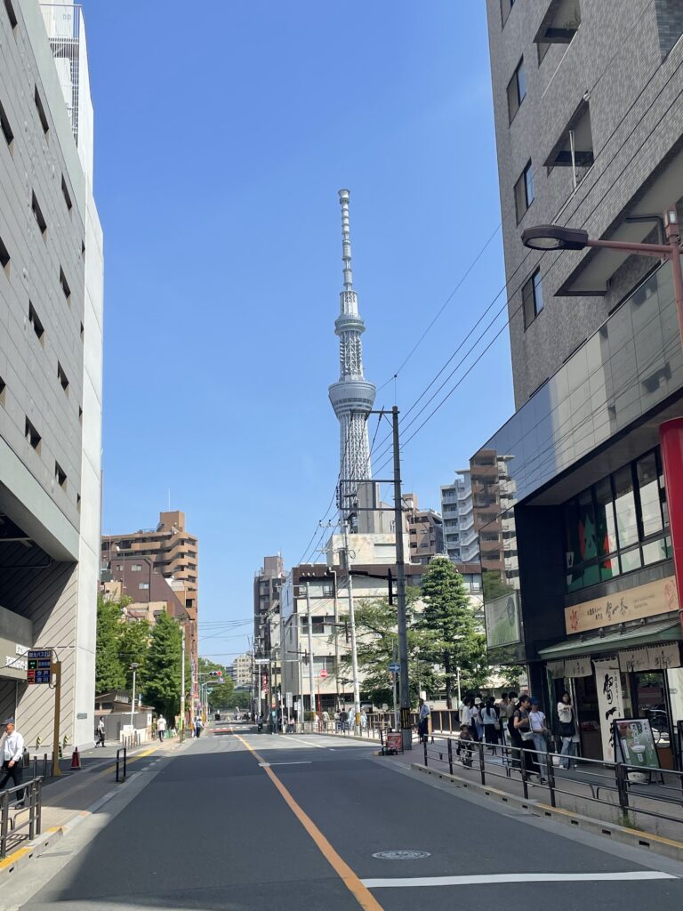 スカイツリーが見える