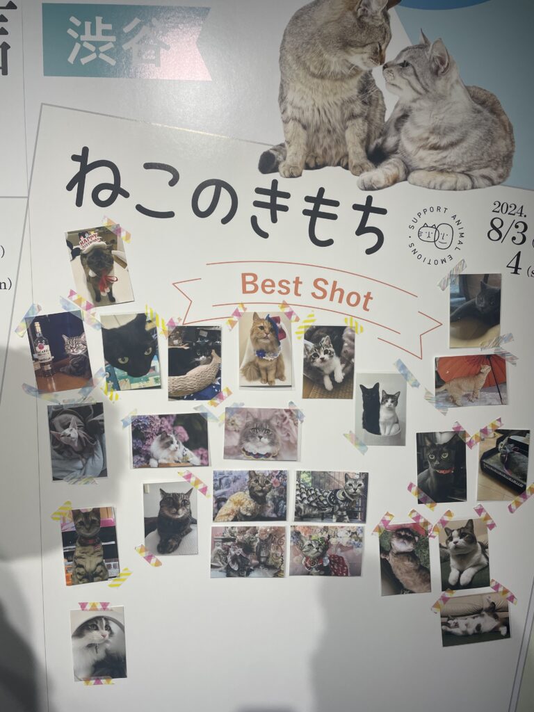 ねこまみれ通信