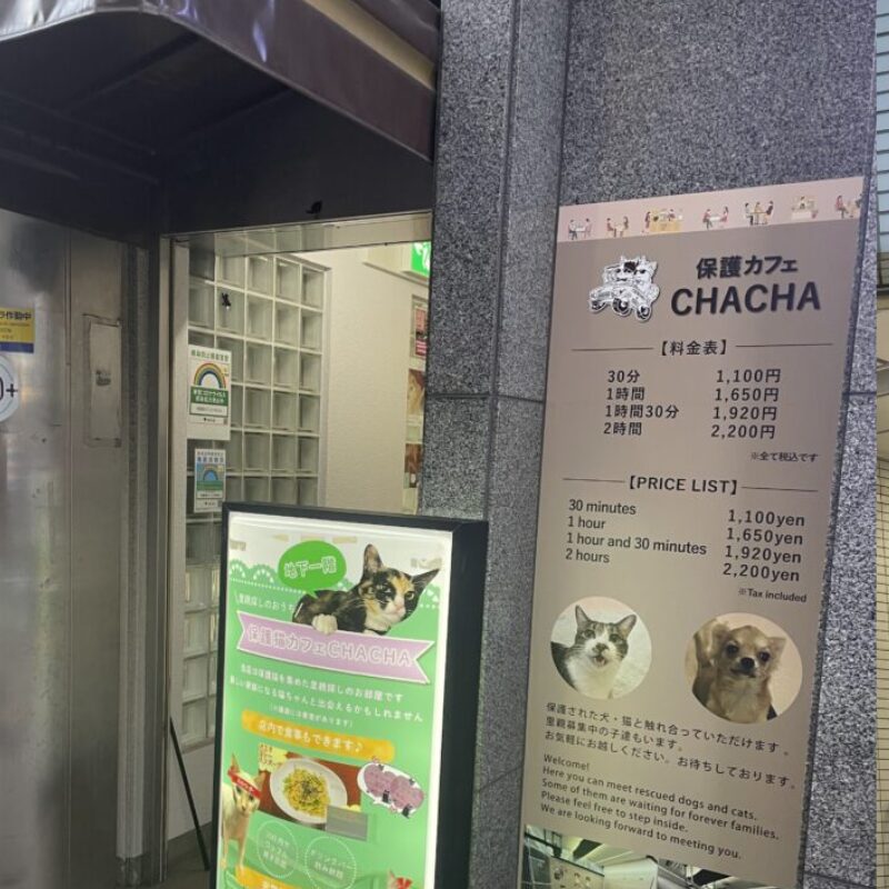 CHACHAの看板