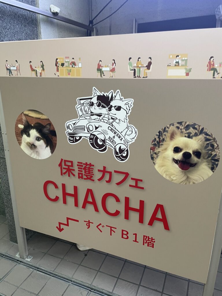 CHACHAの看板