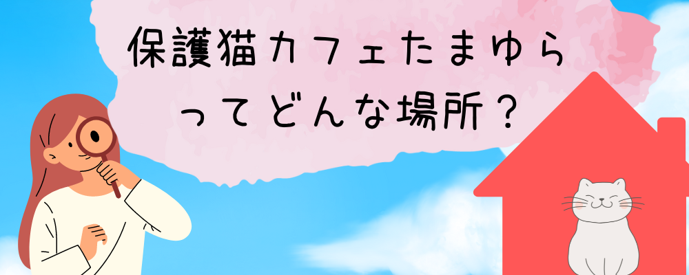 たまゆらについて解説