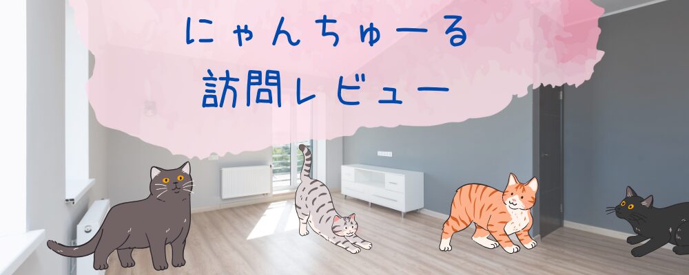 にゃんちゅーる訪問レビュー