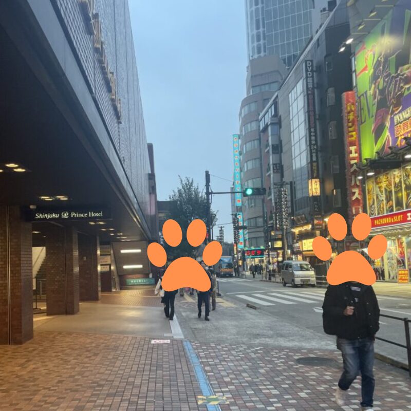 西部新宿駅からの道