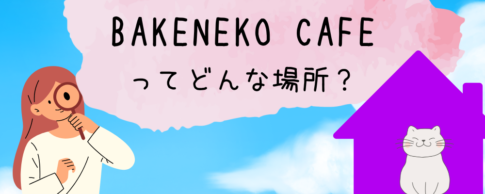 BAKENEKO　CAFEについて解説