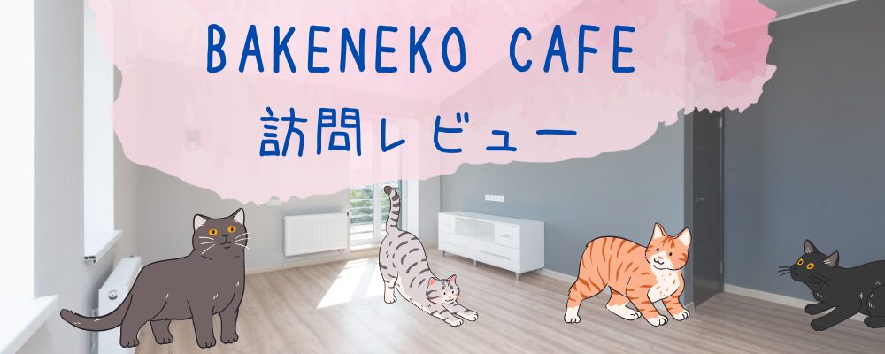 BAKENEKO CAFE　訪問レビュー